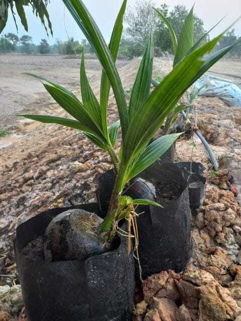 ban-chik-organic-farm-tour-with-tasting