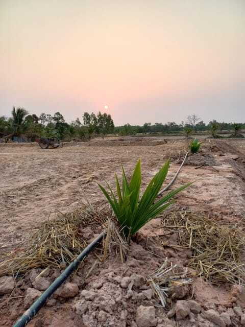 Ban Chik: Organic Farm Tour With Tasting - Since You Asked