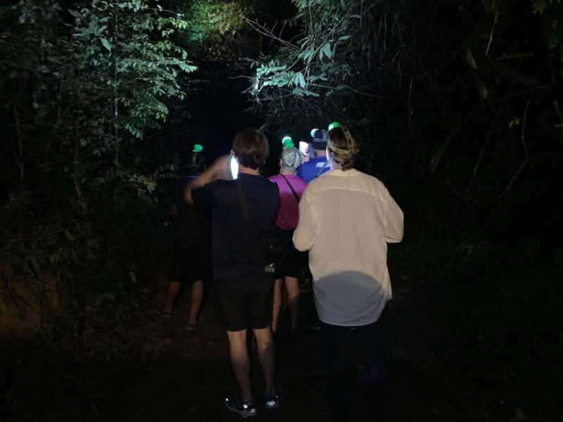 Ban Khao Sok: Rafting, Cooking, & Night Jungle Trek Tour - An Overview of What to Expect