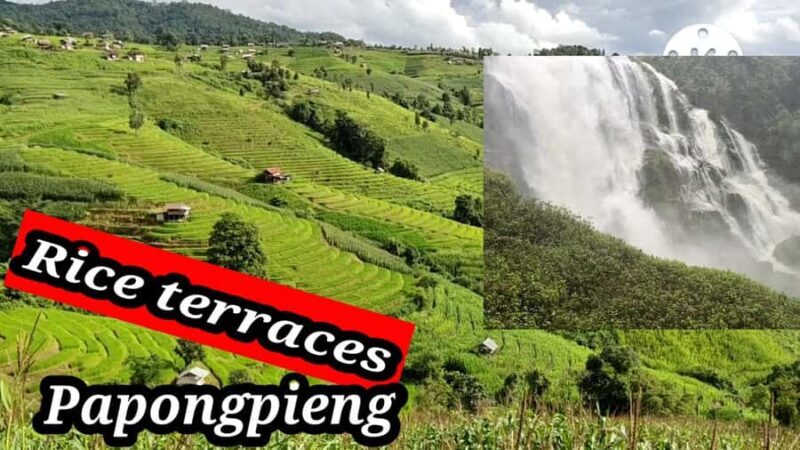Ban Pa Pong Pieng Rice Terraces Private Guided Tour - What to Expect: Practical Details & Tips