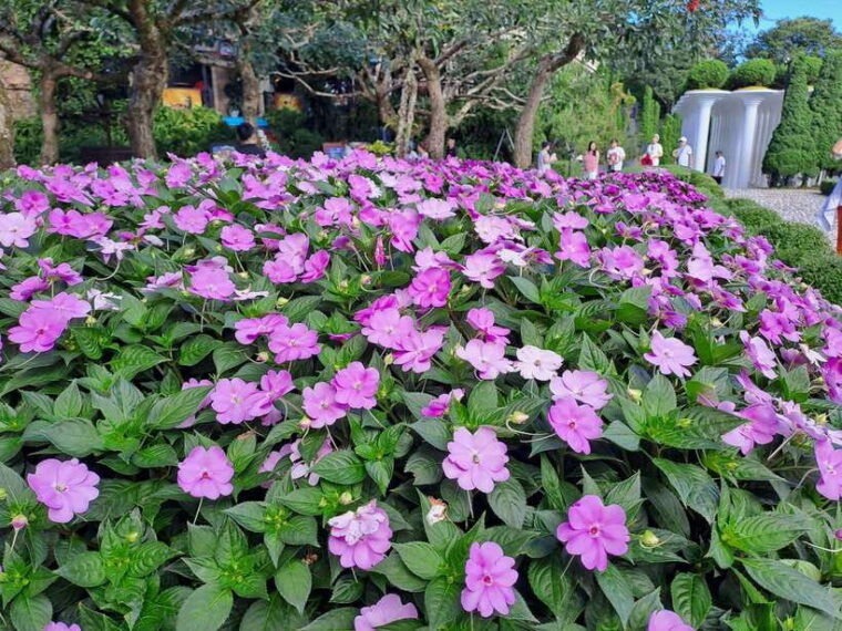 bana-hills-golden-hand-bridge-private-tour