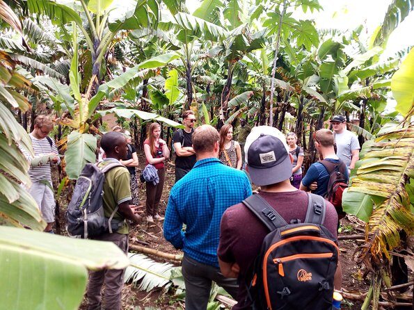 Banana beer brewery - A Detailed Look at the Banana Beer Brewery Tour