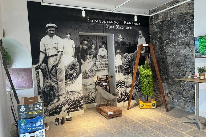 banana-museum-rum-distillery-winery-with-tasting-premium-tour