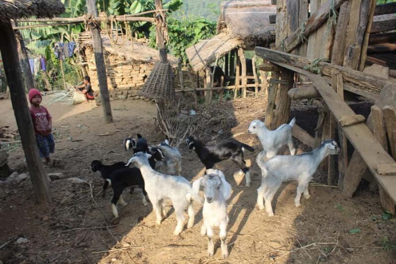 Bandipur: First hand rural cultural experience at homestay - Key Points