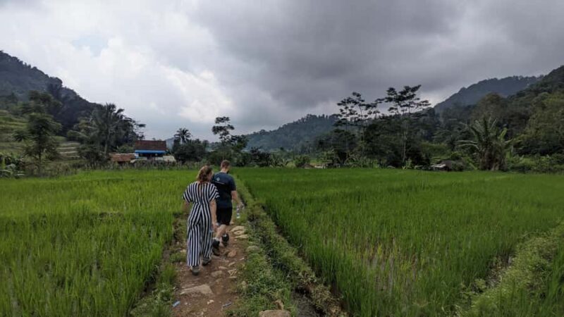 Bandung Countryside Tour: Waterfall, Rice Fields & Culture - Why This Tour Is a Great Choice