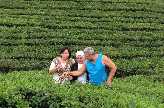 Bandung in One Day (Minimum of 2 Travelers) - FAQ