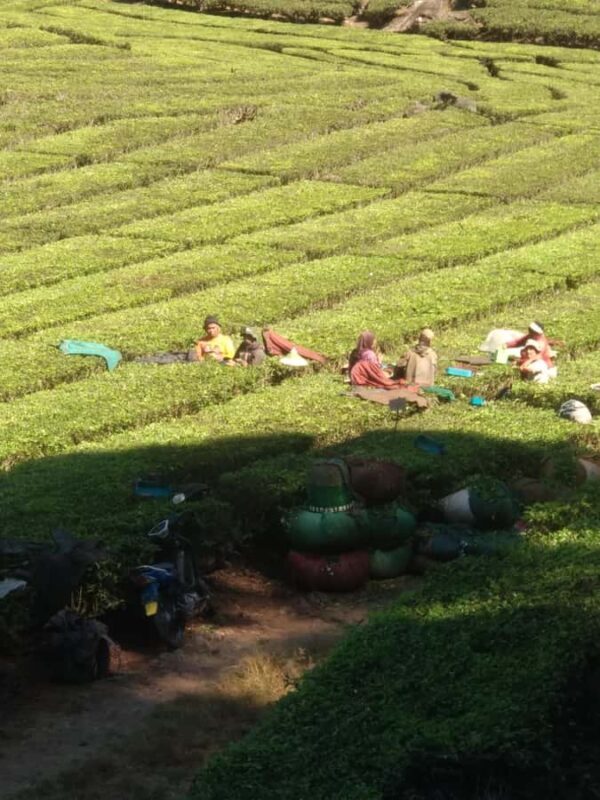 Bandung : Private Tour Guide Sightseeing (Costum tour) - The Real Value of the Tour: Why It’s Worth It