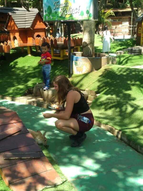 Bandung : Private Tour Guide Sightseeing (Costum tour) - Final Thoughts