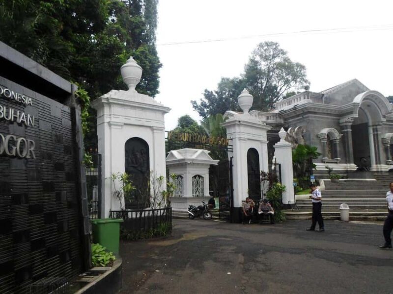 BANDUNG TO JAKARTA: Tea Plantation and Botanical Garden Tour - What Travelers Are Saying