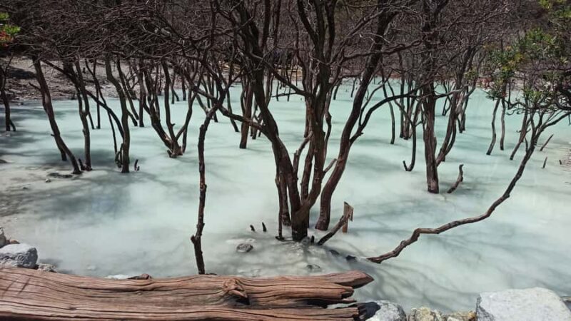 Bandung: White Crater Hotspring Tea Plans And Lunch Included - FAQ