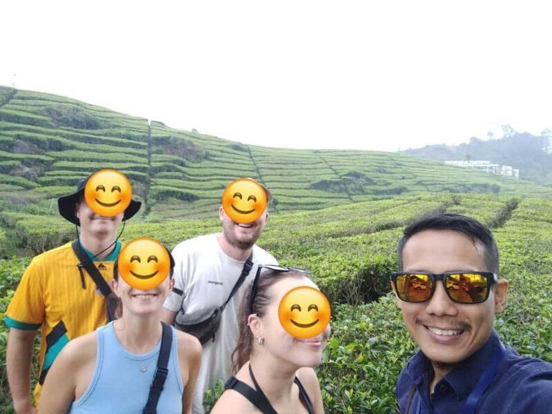 Bandung : White Crater, Tea Plantation Tour Guide Bandung - The Sum Up