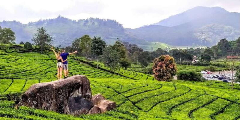 bandungkawah-putihvolcanohotspringmud-bathinglake-tour