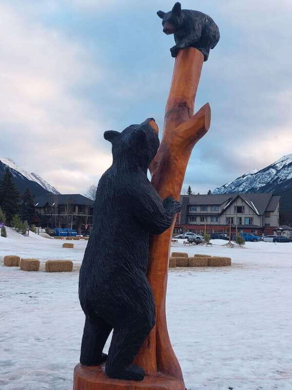 banff-a-private-day-trip-highlights-tour