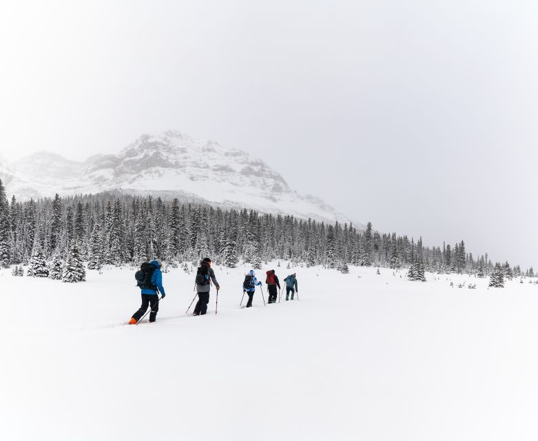 banff-ast-1-avalanche-skills-training-level-1