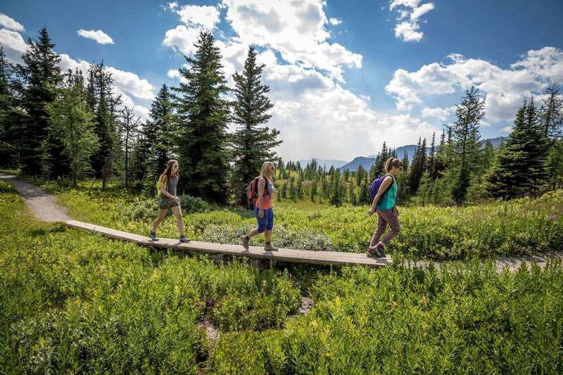 banff-edible-and-medicinal-plants-nature-walk
