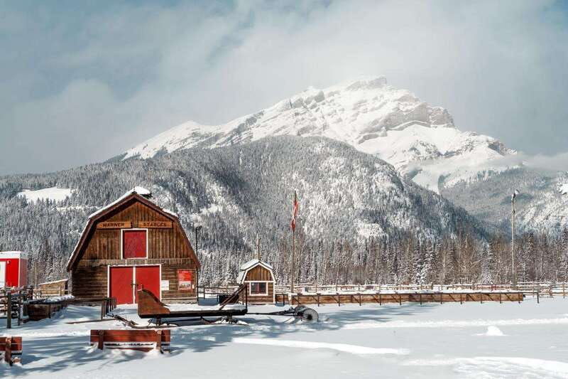 banff-family-friendly-horse-drawn-sleigh-ride