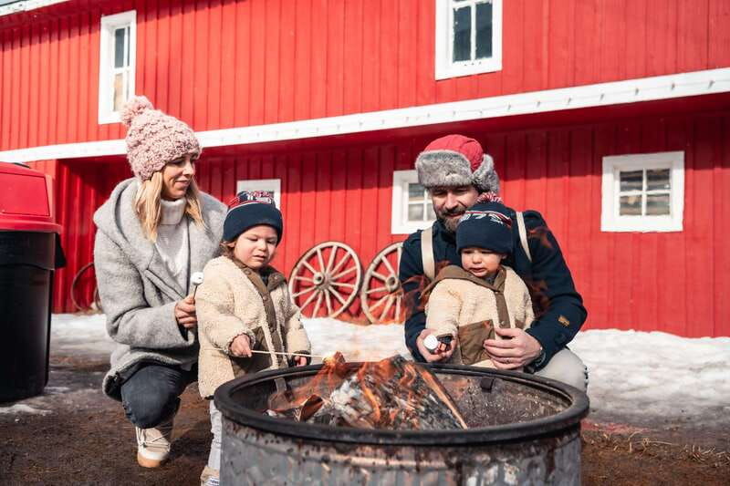 banff-family-friendly-horse-drawn-sleigh-ride