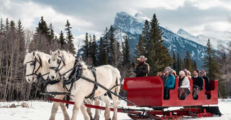 banff-family-friendly-horse-drawn-sleigh-ride