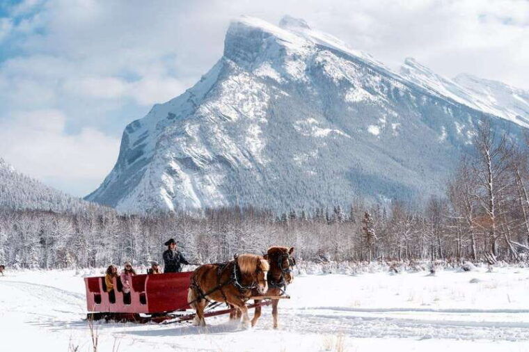 banff-family-friendly-horse-drawn-sleigh-ride
