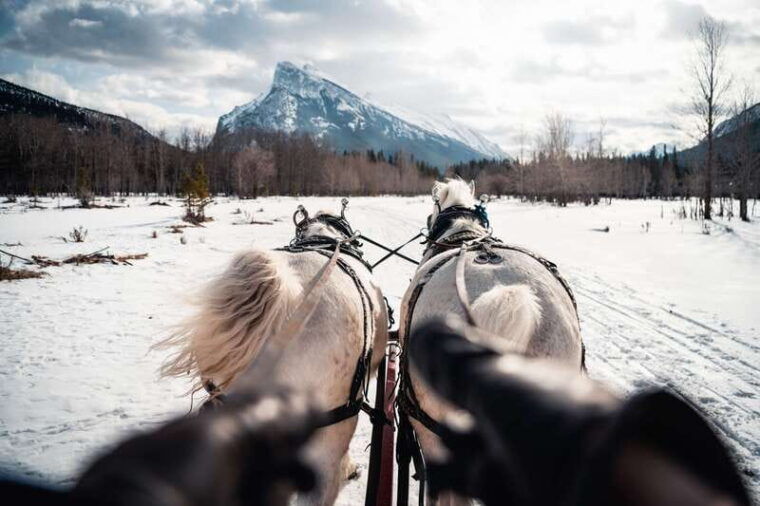 banff-family-friendly-horse-drawn-sleigh-ride