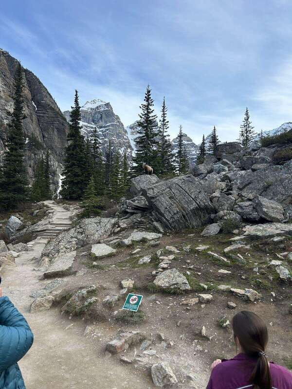 banff-lake-louise-johnston-canyon-vermilion-lake-day-trip