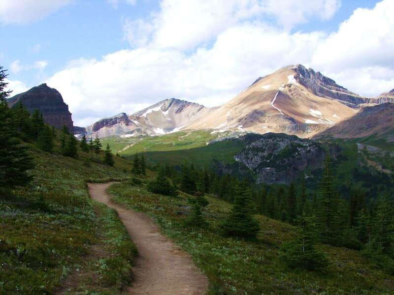 banff-private-guided-nature-walk-2hrs
