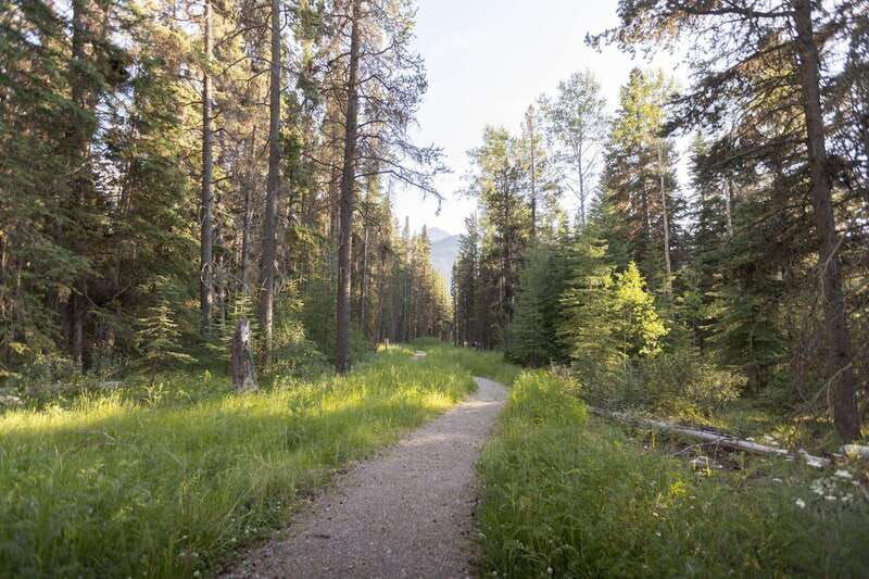 banff-private-guided-nature-walk-2hrs