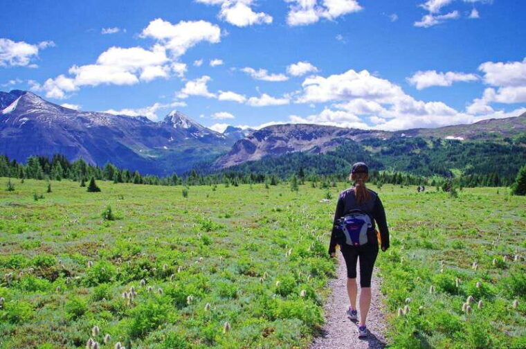 banff-private-guided-nature-walk-2hrs