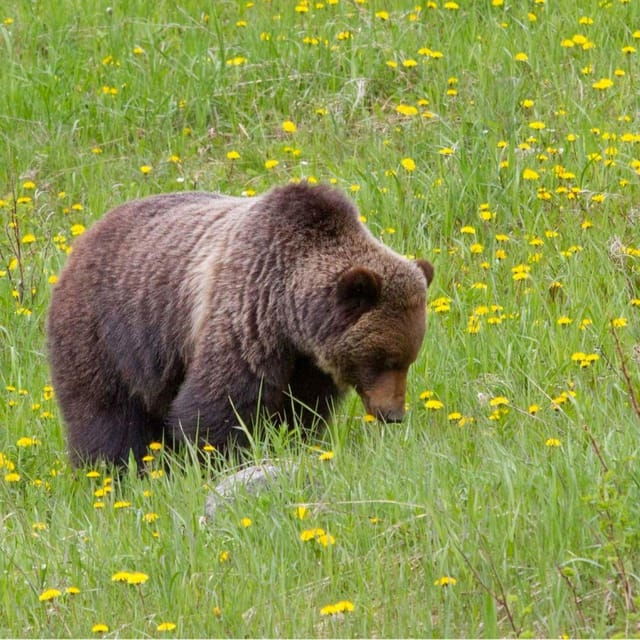 banff-private-shuttle-lake-louise-johnston-canyon-daytrip