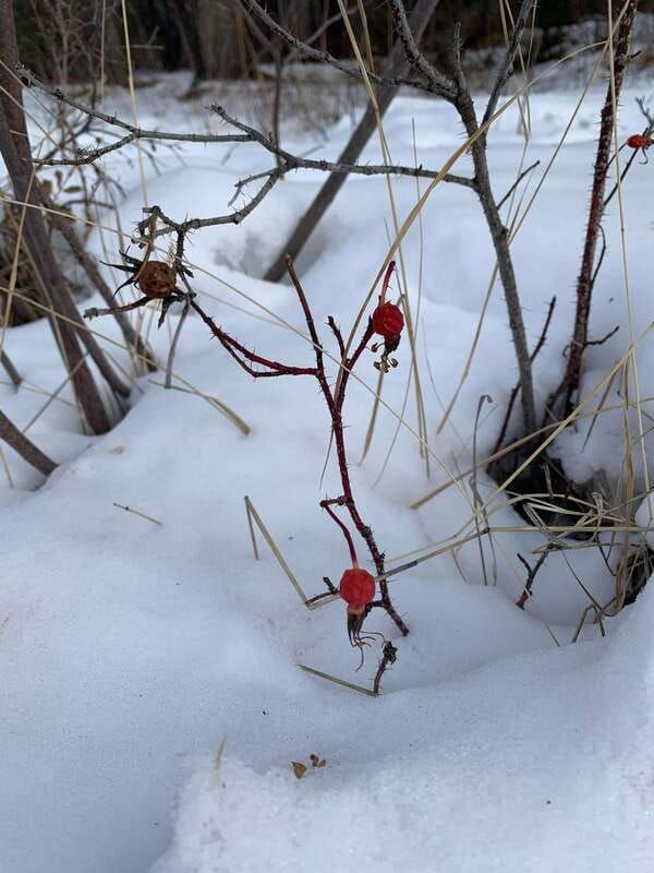 banff-wild-ice-winter-adventure-ice-cleat-included