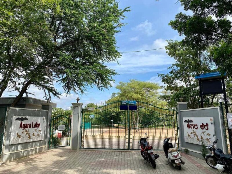 Bangalore: Agara Lake Walking Tour with Coffee - Key Points