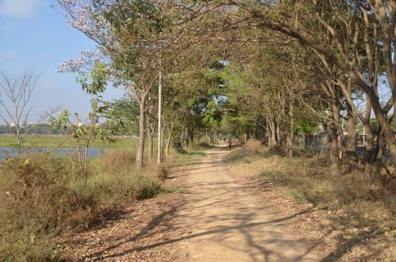 Bangalore: Agara Lake Walking Tour with Coffee - Exploring the Itinerary in Detail