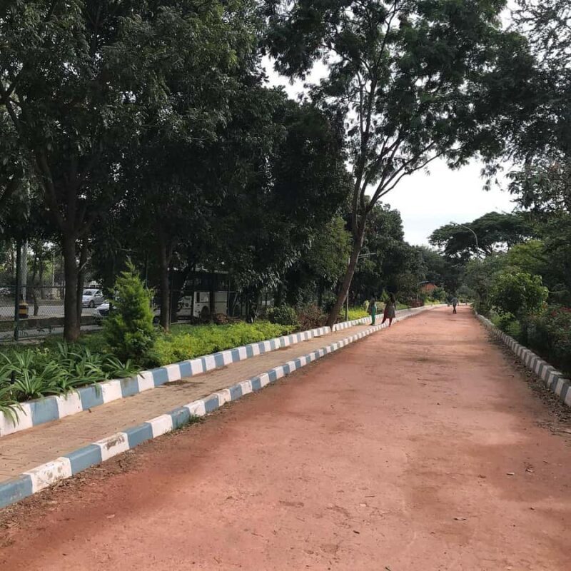 Bangalore: Agara Lake Walking Tour with Coffee - The Sum Up