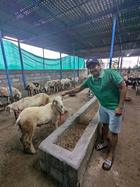 Bangalore: Big Barn Farm Visit with Animal Interactions - Bangalore: Big Barn Farm Visit with Animal Interactions — A Practical Guide