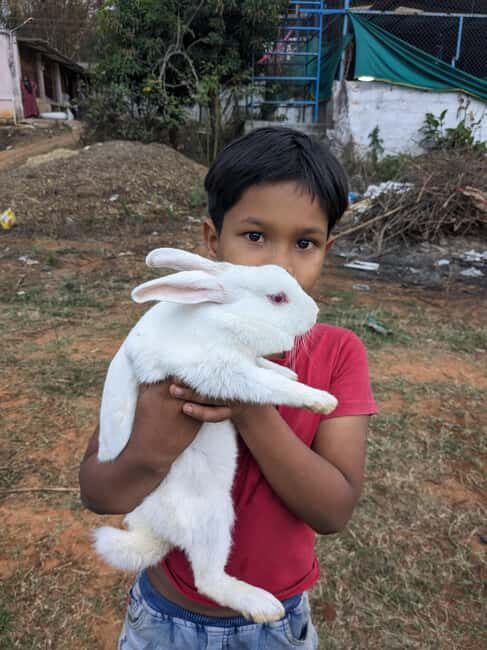 Bangalore: Big Barn Farm Visit with Animal Interactions - Why This Tour Works Well