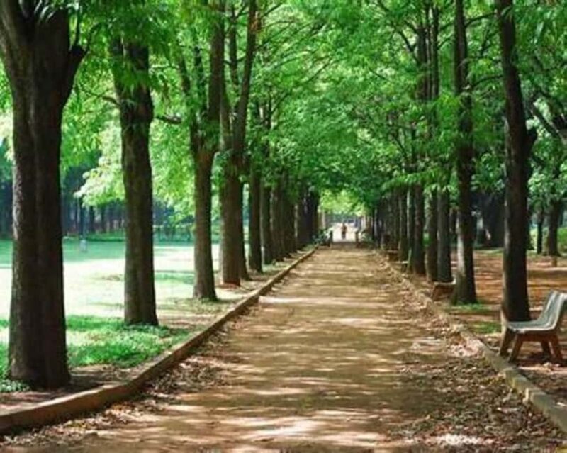 Bangalore: City Highlights Guided Tour - Key Points  