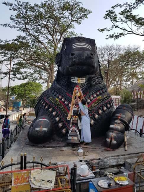 Bangalore City Tour: Walking, Palace & Temples - Key Points