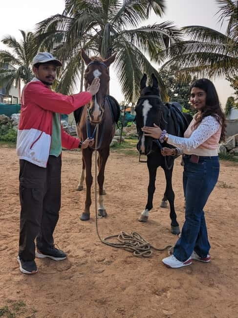 Bangalore: Horse Riding Safari Tour - Practical Details and Value