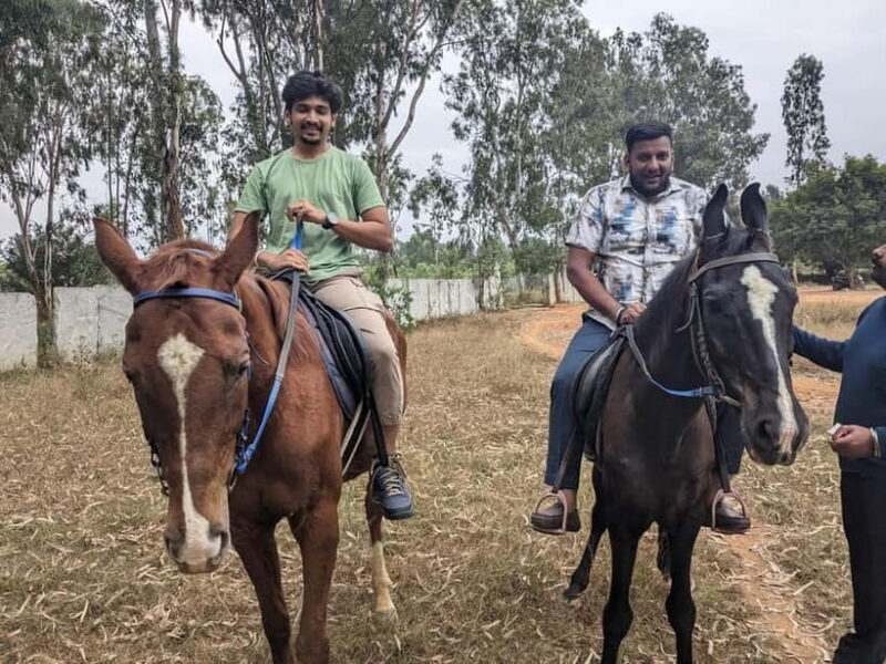 Bangalore: Horse Riding Safari Tour - Review Insights and Authentic Experiences