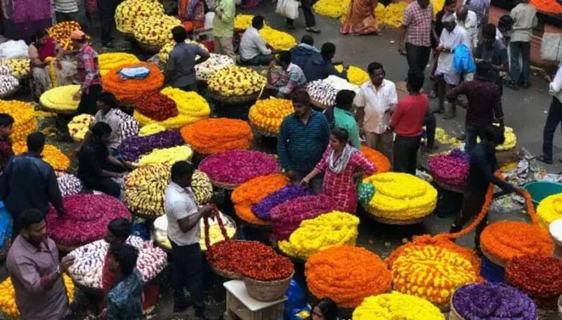 Bangalore Private Guided City Tour|Palace, Temples & Markets - Value and Pricing