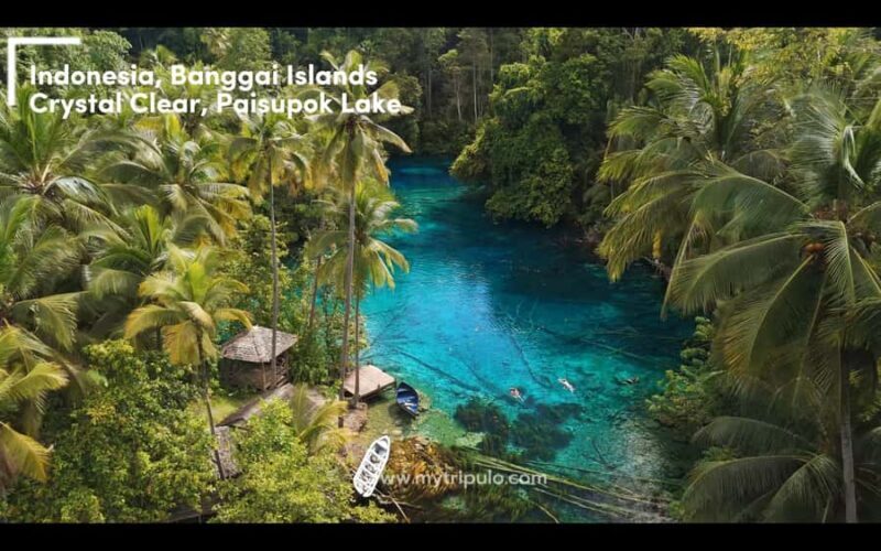 Banggai Islands: Paisupok Lake Adventure with Homestay - Key Points
