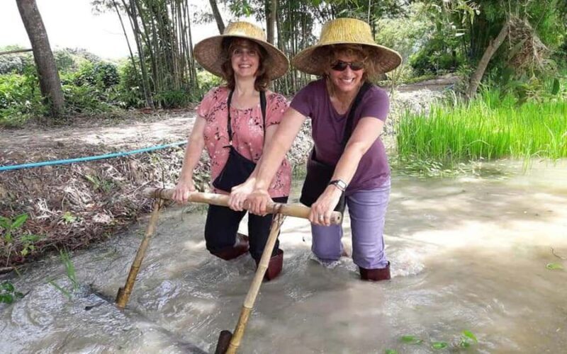 Bangkok: Authentic Thai Cooking Class and Local Lifestyle - Who Will Enjoy This Tour?