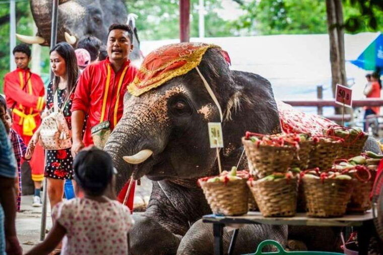 bangkok-ayutthaya-vip-day-trip-with-boat-ride-guide