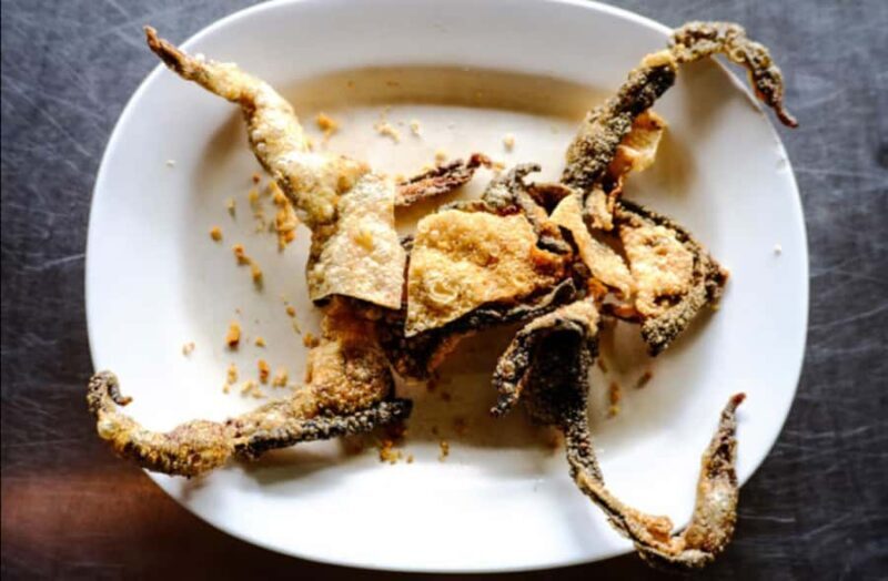 Bangkok: Bizarre Food Challenge Tour with Tuk Tuk Ride - An In-Depth Look at the Bangkok Bizarre Food Challenge Tour