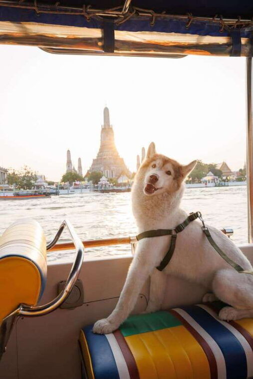 bangkok-boat-chao-phraya-river-tuk-tuk-boat-tour