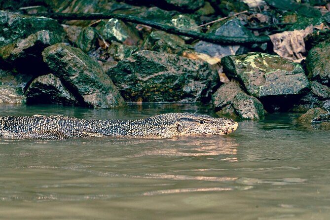 Bangkok Canal Boat Tour to Big Buddha  1 Hour Longtail Cruise - Final Thoughts on the Value and Experience
