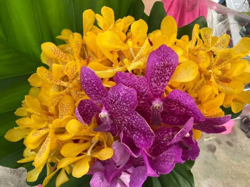 Bangkok Canal Small Teak Boat Full-Day Tour - Final Thoughts: Why It’s a Worthwhile Investment