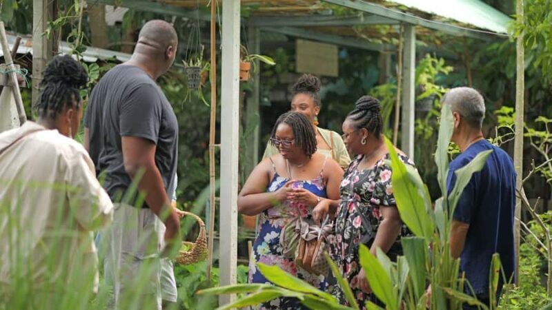 BANGKOK: Canal Tour and Cooking Fun - Authenticity and Value