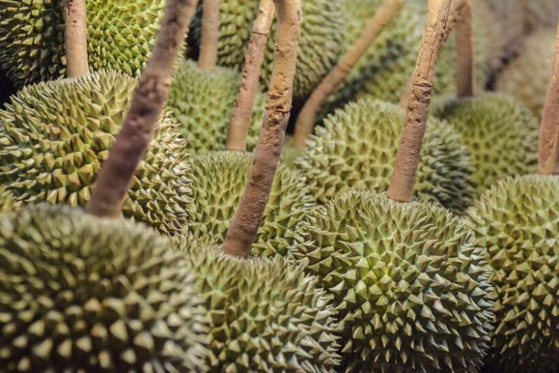 bangkok-chinatown-night-food-tour