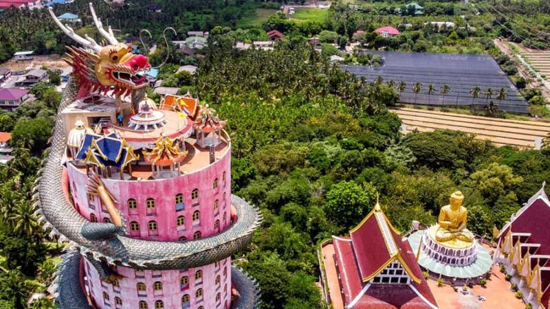 Bangkok: Dragon Temple, Roots Temple and Amphawa in spanish - Key Points